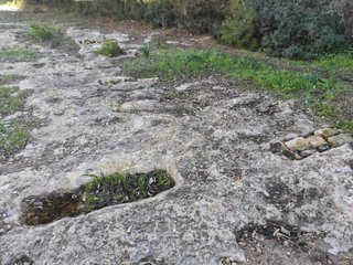 Gisira